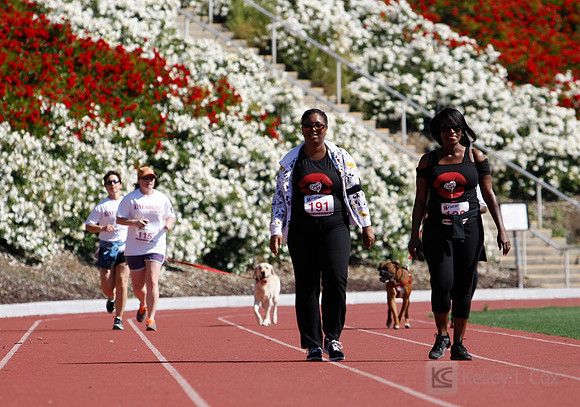 Hayward Hills 5K