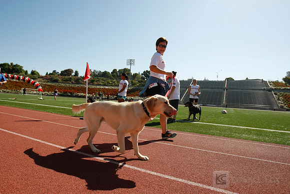 Hayward Hills 5K