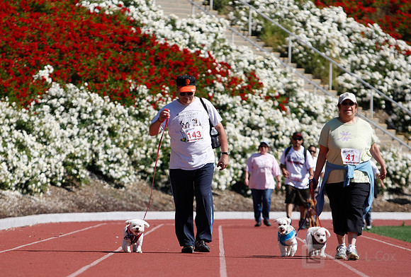 Hayward Hills 5K