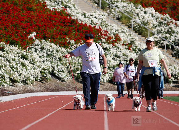 Hayward Hills 5K