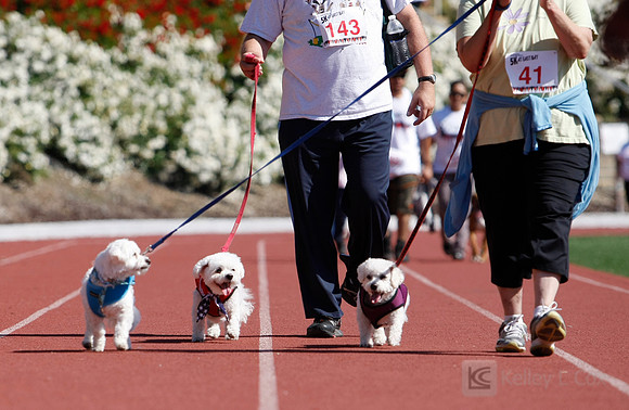 Hayward Hills 5K