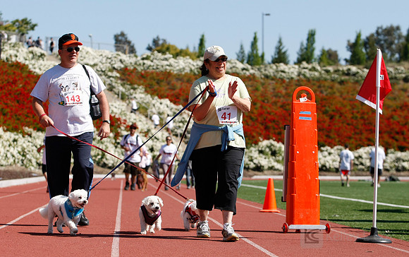 Hayward Hills 5K