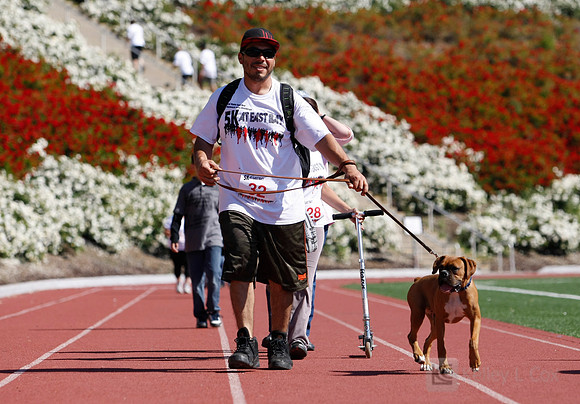 Hayward Hills 5K