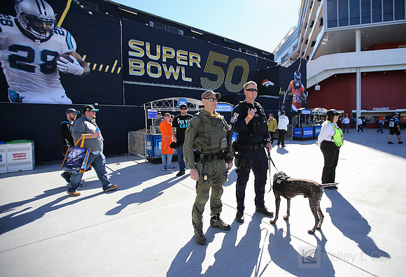 NFL: Super Bowl 50-Carolina Panthers vs Denver Broncos