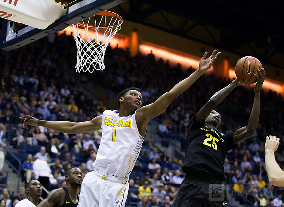 NCAA Basketball: Oregon at California