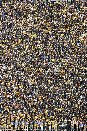 Cal Football vs Stanford