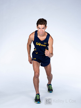 Colin FitzGerald