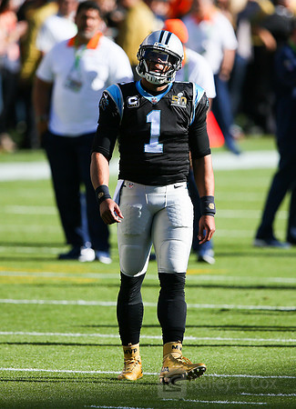 NFL: Super Bowl 50-Carolina Panthers vs Denver Broncos