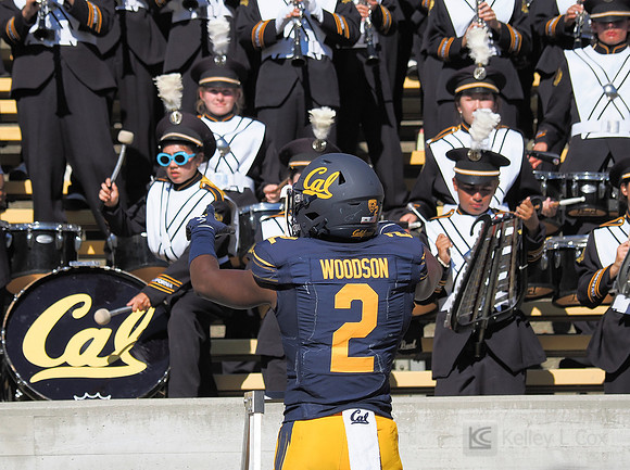 Craig Woodson (2)