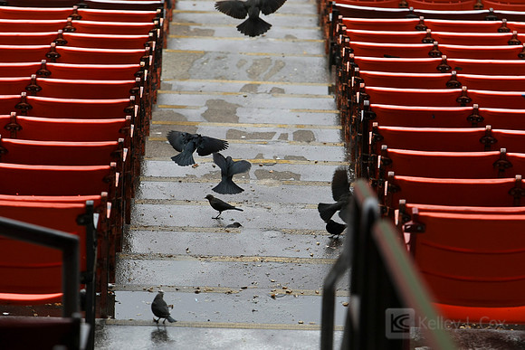NFL: San Francisco 49ers-Field Preparations
