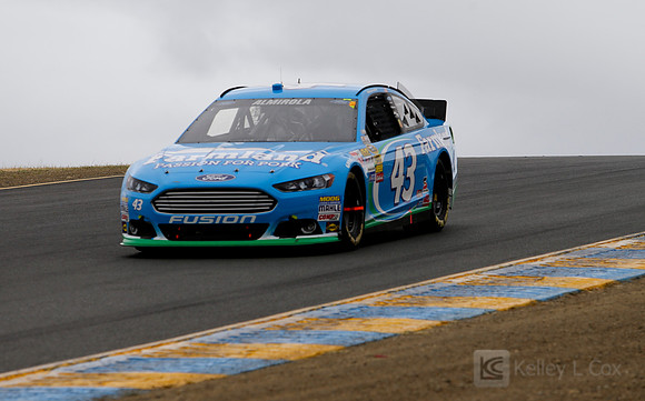 NASCAR Sprint Cup Series: Toyota/Save Mart 350