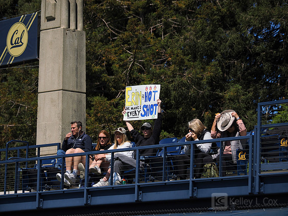 Fans
