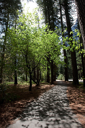 Yosemite 2011