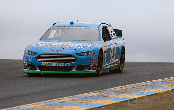 NASCAR Sprint Cup Series: Toyota/Save Mart 350