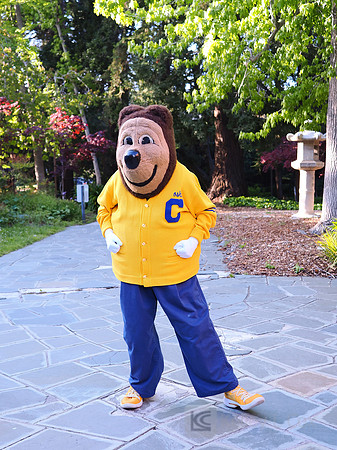 Berkeley Hope Scholars: Graduation Ceremony
