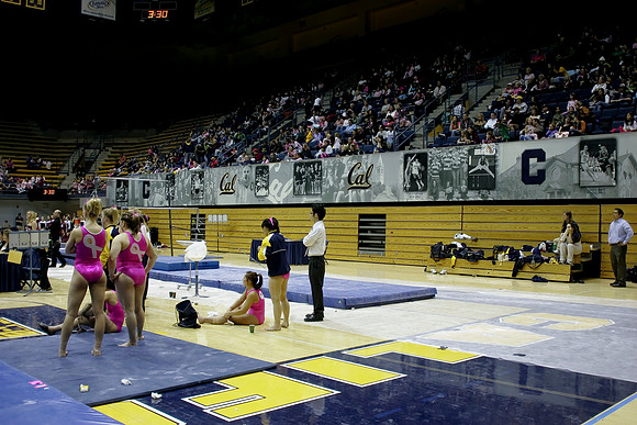 Cal Women's Gymnastics vs Stanford
