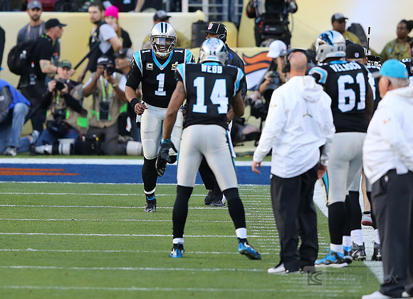 NFL: Super Bowl 50-Carolina Panthers vs Denver Broncos