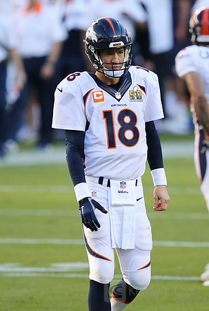 NFL: Super Bowl 50-Carolina Panthers vs Denver Broncos