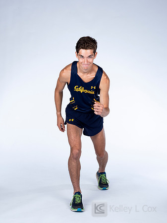 Colin FitzGerald