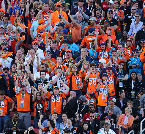 NFL: Super Bowl 50-Carolina Panthers vs Denver Broncos