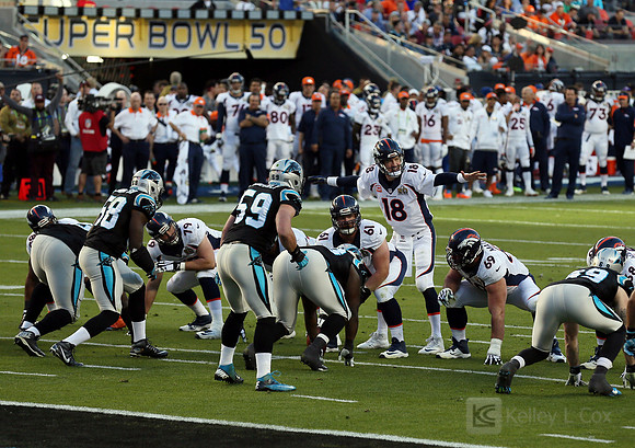 NFL: Super Bowl 50-Carolina Panthers vs Denver Broncos