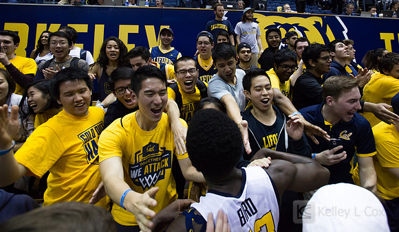 NCAA Basketball: Oregon at California