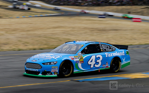 NASCAR Sprint Cup Series: Toyota/Save Mart 350