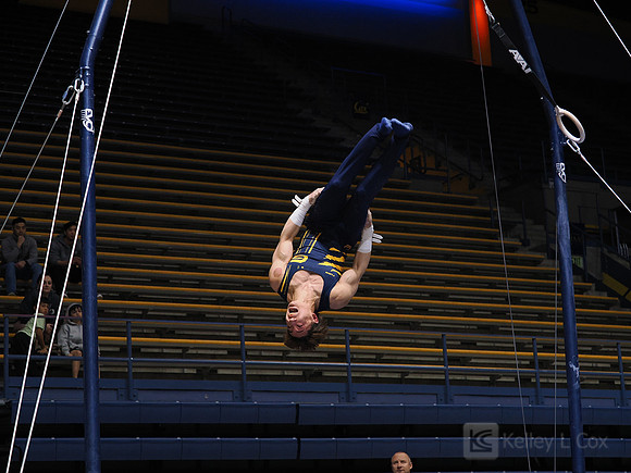Men’s Gymnastics: California Golden Bears vs Stanford Cardinal