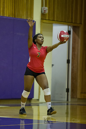 Volleyball: Berkeley at Piedmont