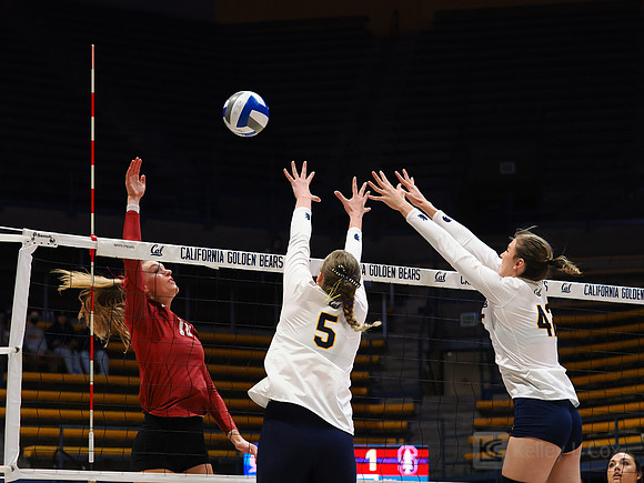 Leah Schmidt (5), Sophie Scott (42)