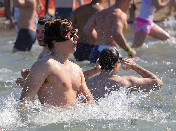 SONC Polar Plunge SF