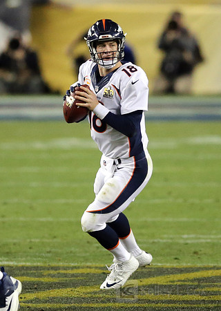 NFL: Super Bowl 50-Carolina Panthers vs Denver Broncos