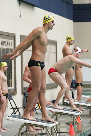 Cal Men's Swimming and Diving vs Stanford