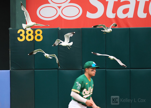 MLB: Houston Astros at Oakland Athletics