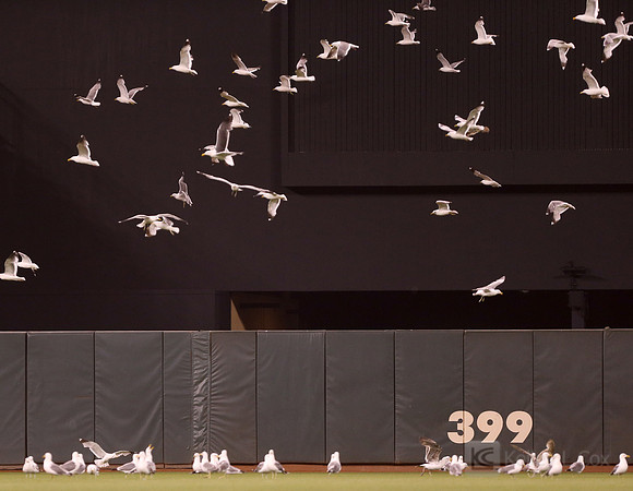 MLB: Washington Nationals at San Francisco Giants