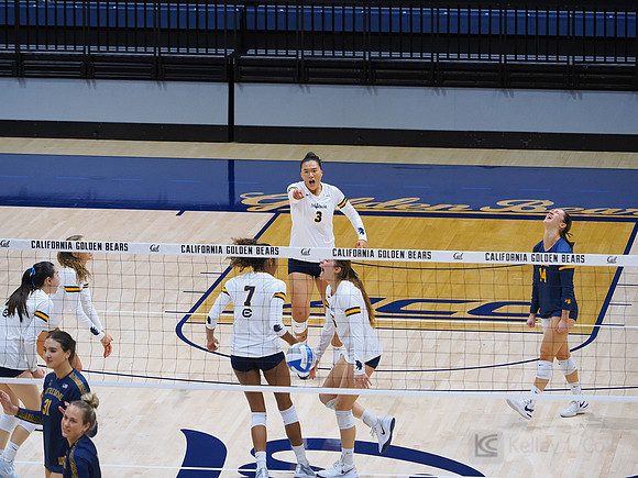 Volleyball: California Golden Bears vs Notre Dame Fighting Irish