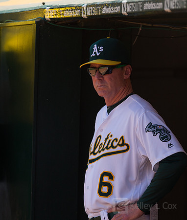 MLB: Kansas City Royals at Oakland Athletics