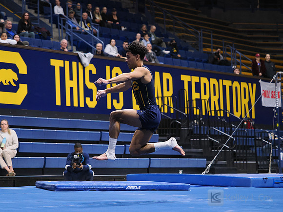 Men’s Gymnastics: California Golden Bears vs Stanford Cardinal