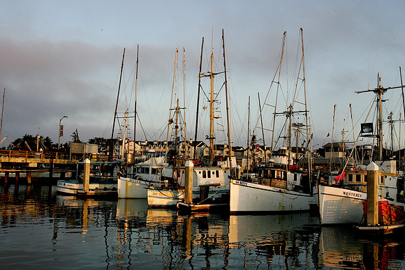 Mavericks 2010