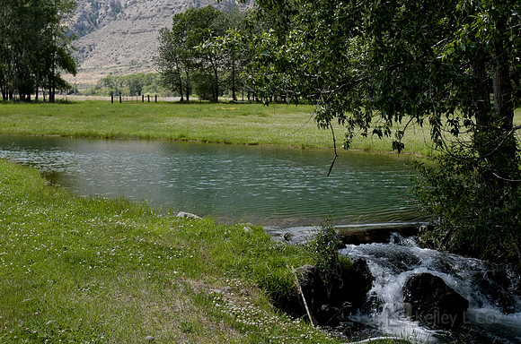 Wyoming