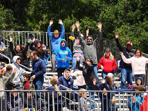 Fans