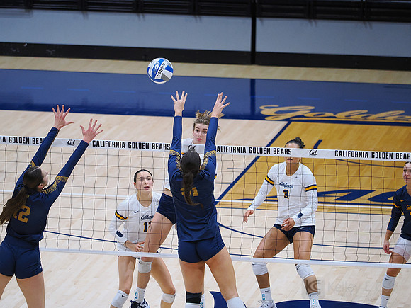 Volleyball: California Golden Bears vs Notre Dame Fighting Irish