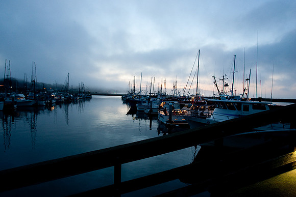 Mavericks 2010