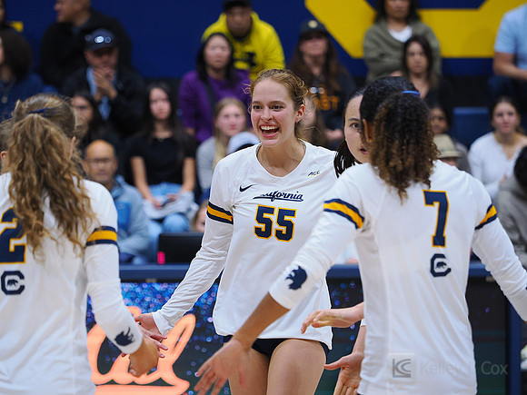 Volleyball: California Golden Bears vs Notre Dame Fighting Irish