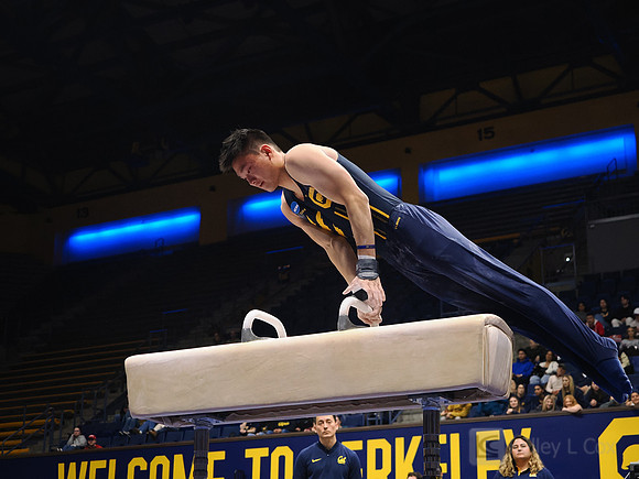 Men’s Gymnastics: California Golden Bears vs Stanford Cardinal