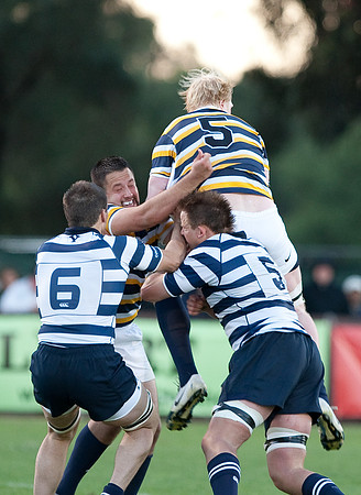 Cal Rugby vs BYU
