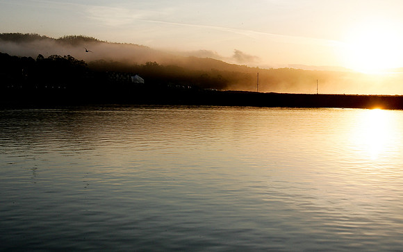 Mavericks 2010
