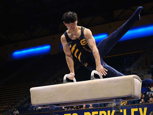 Men’s Gymnastics: California Golden Bears vs Stanford Cardinal