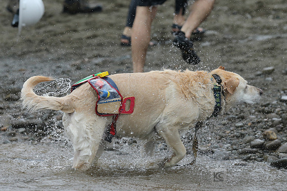 SONC: Polar Plunge Sacramento