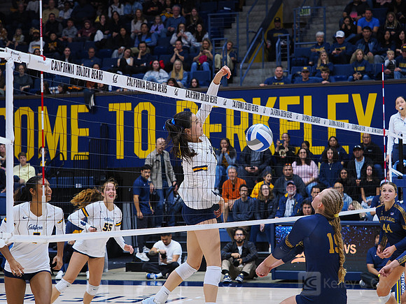 Volleyball: California Golden Bears vs Notre Dame Fighting Irish